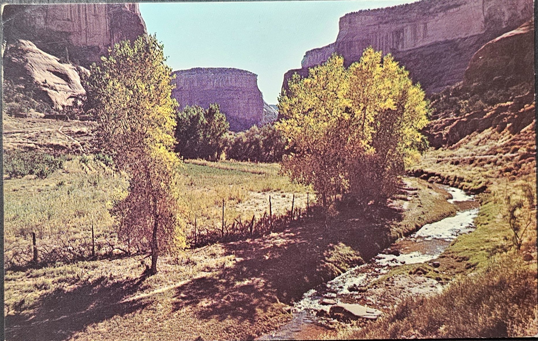 (image for) postcard USA - AZ - Arizona #0021